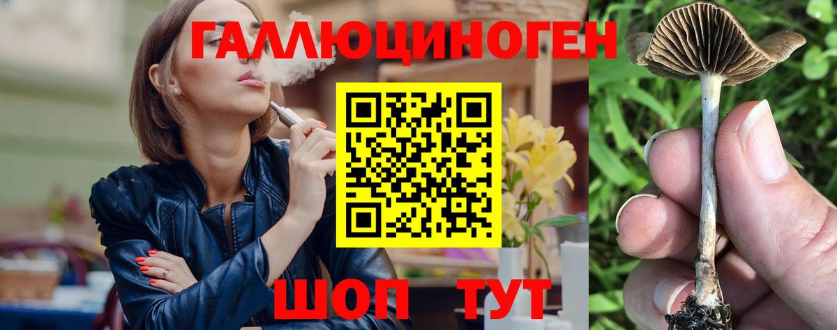 Алексин  Псилоцибиновые грибы прущие грибы  Галлюциногенные грибы прущие грибы  где купить   Вход с VPN 